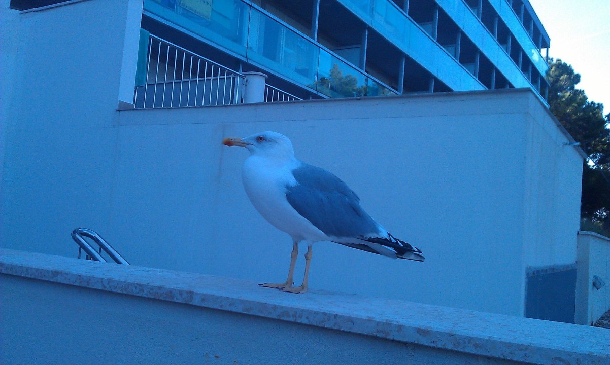 Hotel Aurora Hotel Aurora