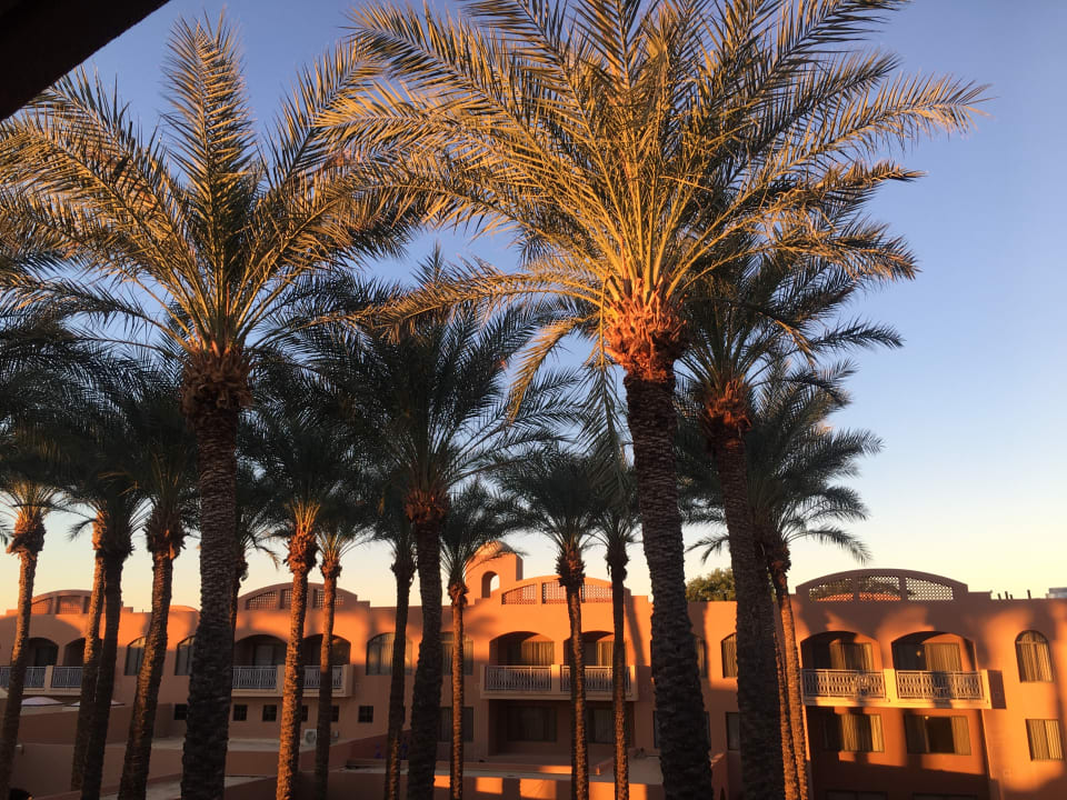 Gartenanlage Hotel Scottsdale Marriott at McDowell Mountains