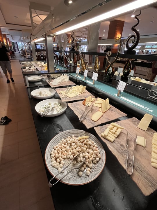 Gastro Paloma Oceana