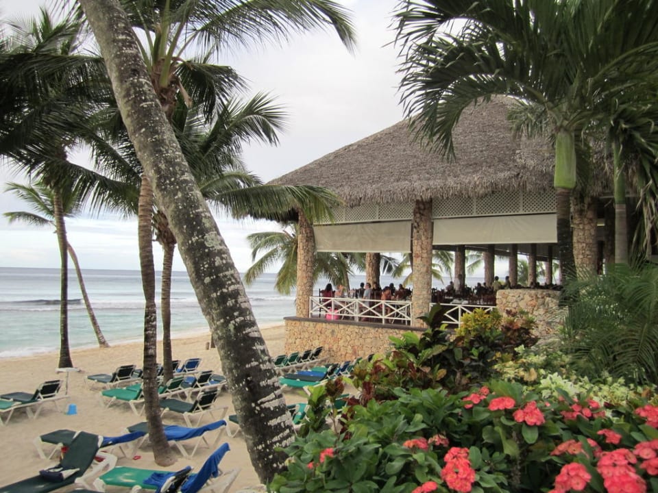 La Terraza Hotel Viva Dominicus Palace by Wyndham-All Inclusive Resort