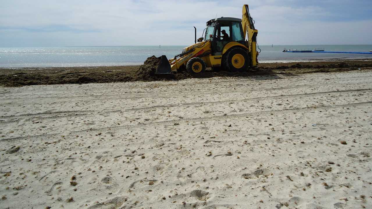 Algenbeseitigung des Bagger am hoteleigenen Strand Hotel Bravo Djerba