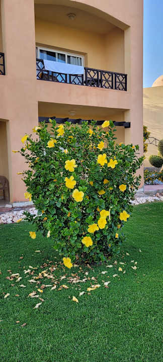 Gartenanlage Wadi Lahmy Azur Resort