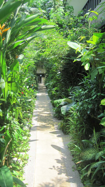 Weg zum Pool und den hinten gelegenen Zimmern Lokal Phuket