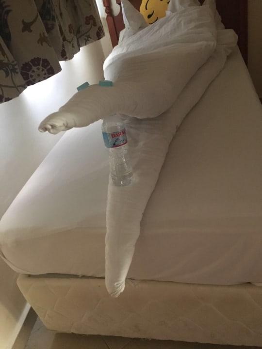 Zimmer Titanic Beach Spa & Aqua Park