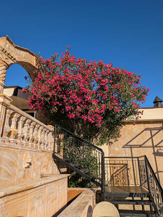 Gartenanlage Club Resort Atlantis