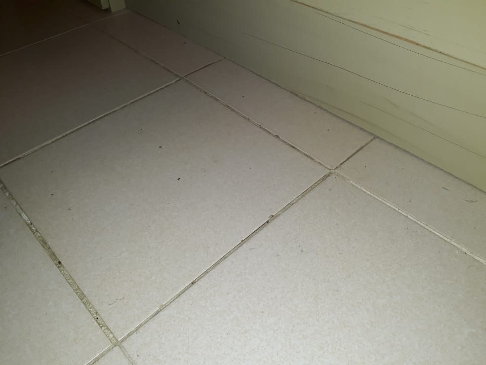 Zimmer blau punta reina