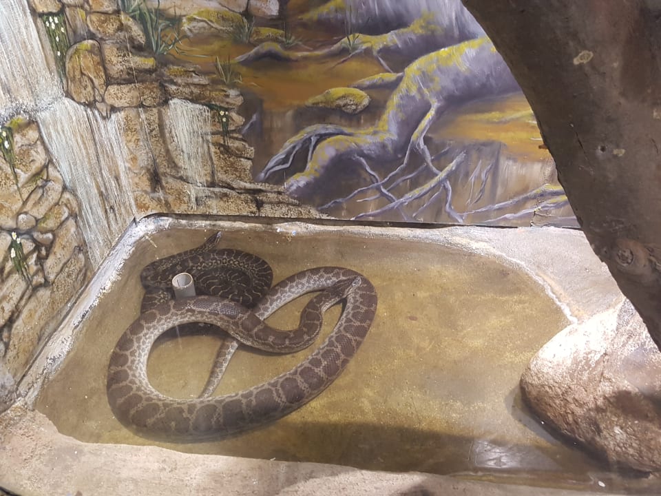 Sonstiges Ferienwohnungen Ferienpark Weissenhäuser Strand