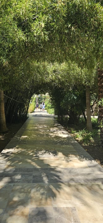 Gartenanlage Sunis Kumköy Beach Resort Hotel & Spa