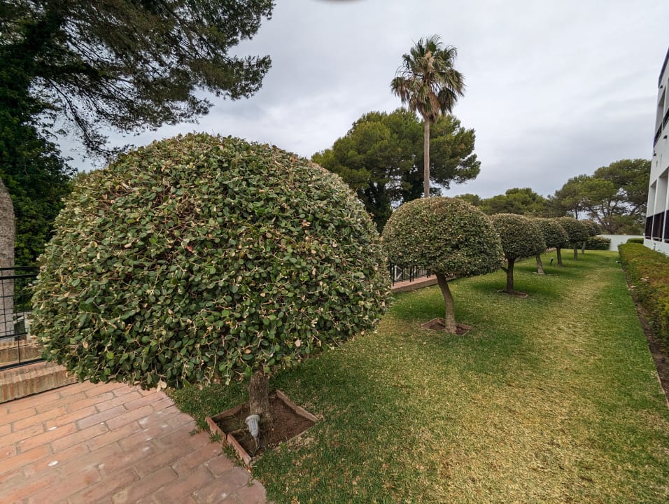 Gartenanlage Fuerte Conil-Resort