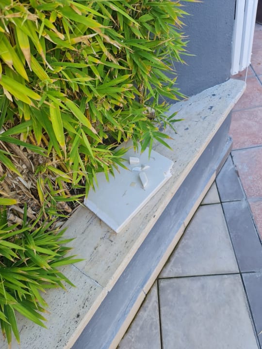 Sonstiges Well Palace Side