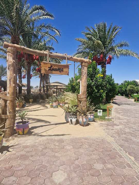 Gastro Fort Arabesque Resort, Spa & Villas