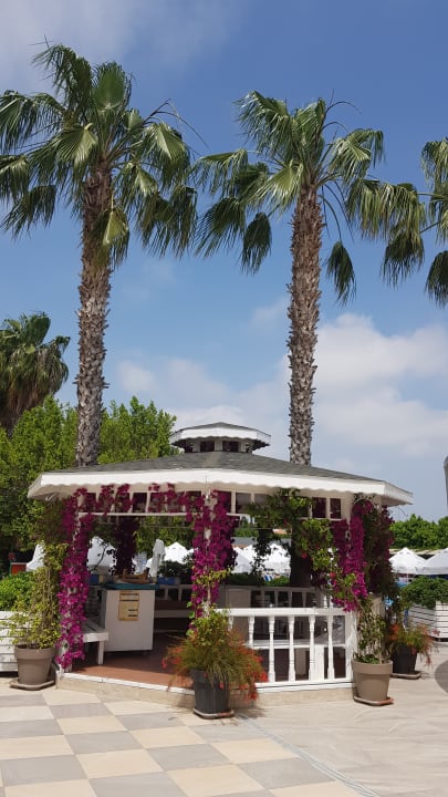 Gartenanlage Hane Family Resort