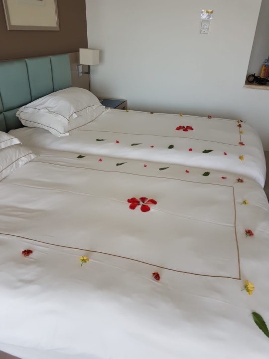 Zimmer Cleopatra Luxury Resort Makadi Bay