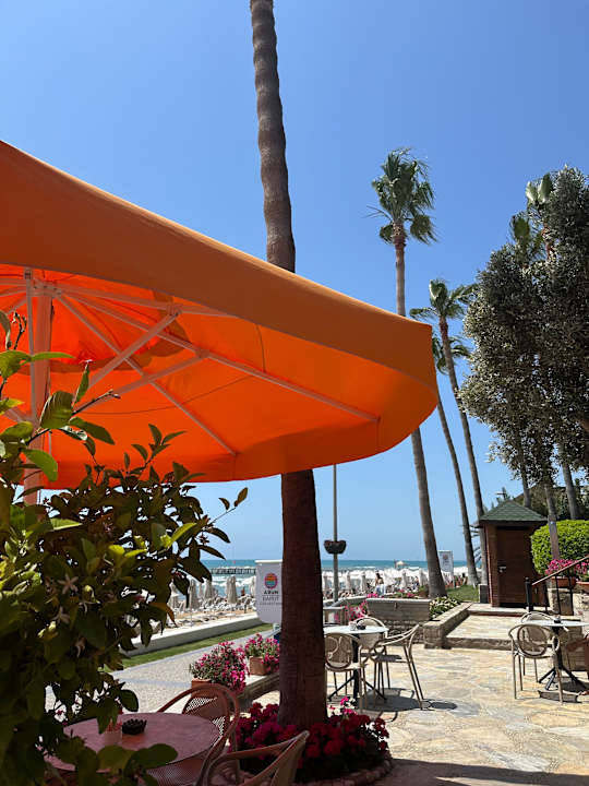 Strand Arum Barut Collection