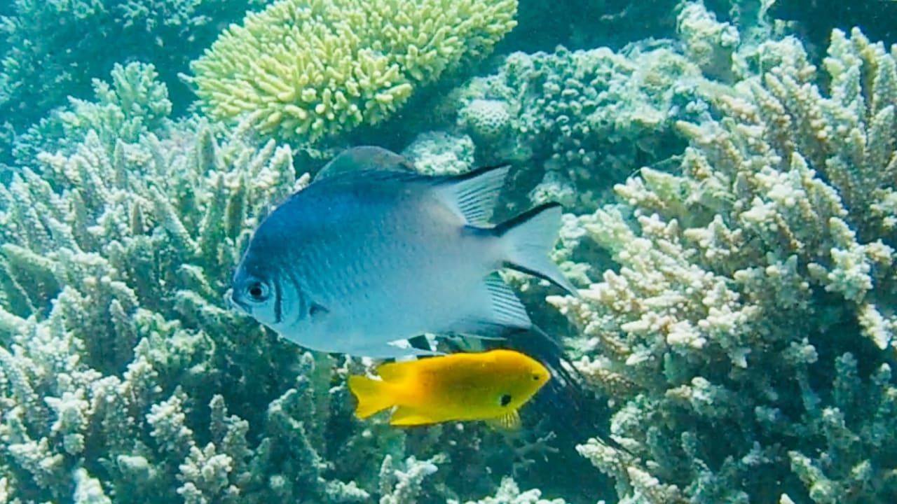 Sport & Freizeit Cleopatra Luxury Resort Makadi Bay