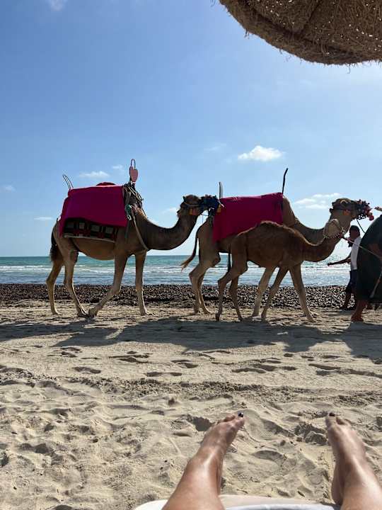 Strand Iliade Aqua Park Djerba