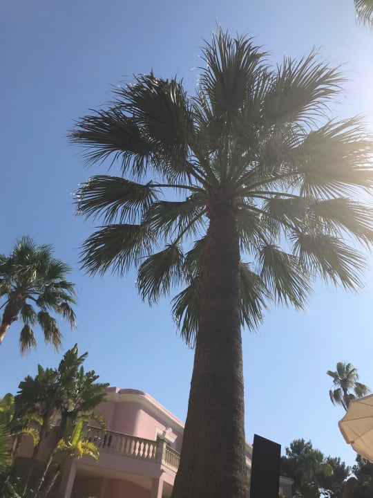 Gartenanlage R2 Lago Playa Park