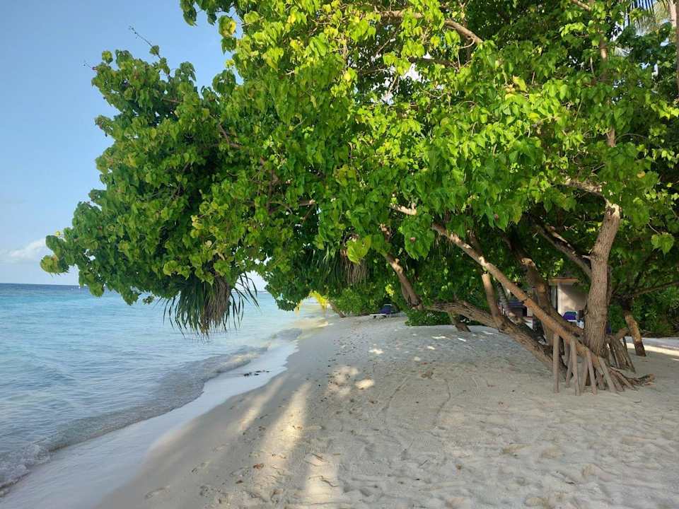 Außenansicht Vilamendhoo Island Resort & Spa