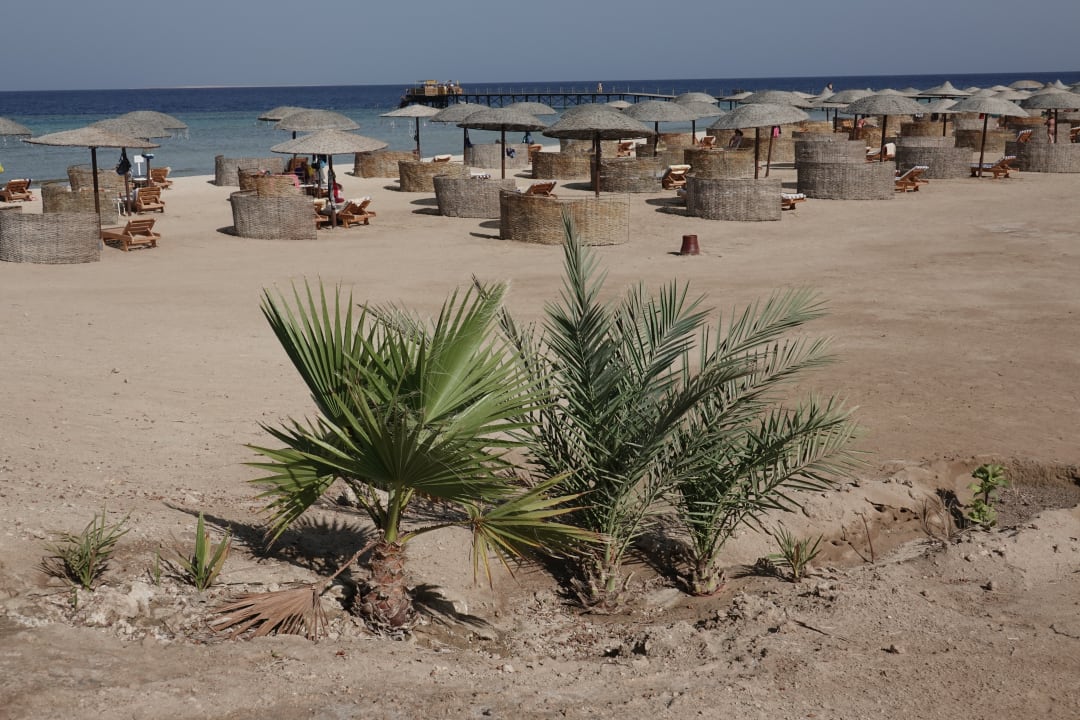 Strand Hotel Gorgonia Beach Resort