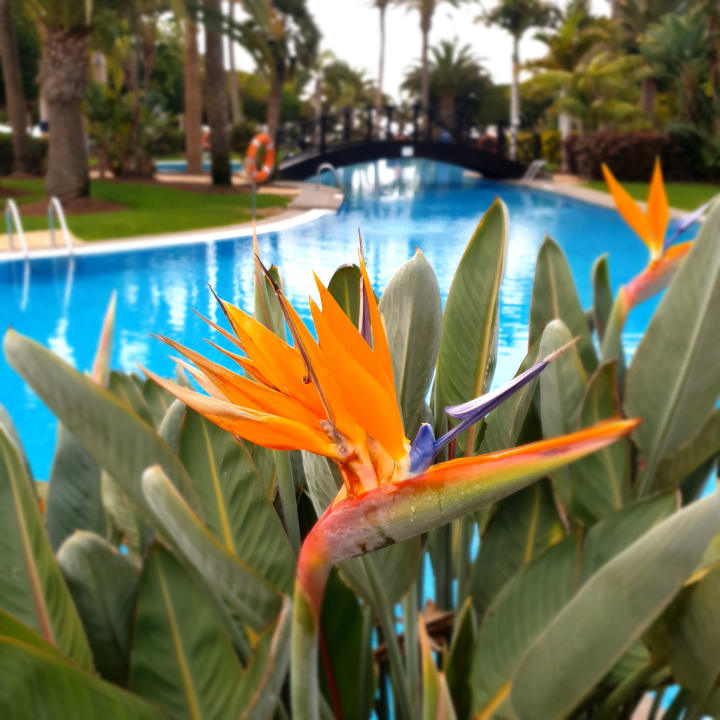 Pool R2 Rio Calma Hotel & Spa & Conference