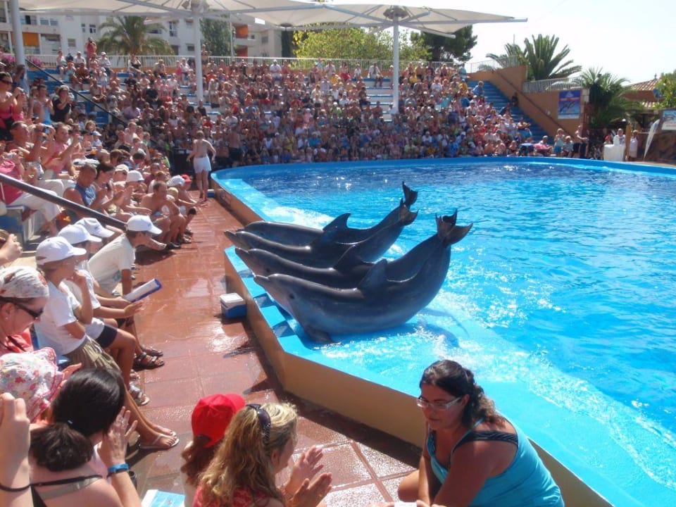 Delfinarium i mini zoo BQ Belvedere Hotel