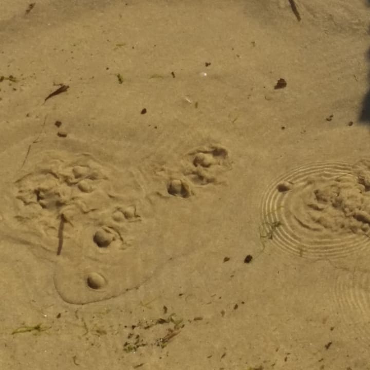 Strand Corissia Beach Hotel