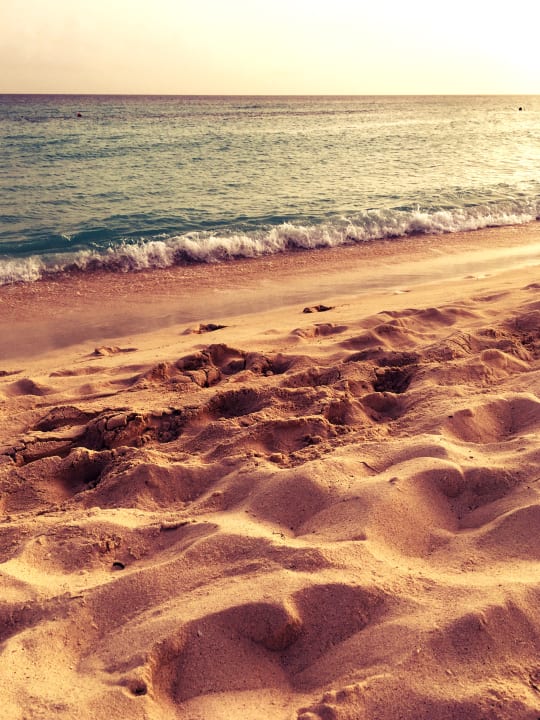 Strand Dreams Dominicus La Romana