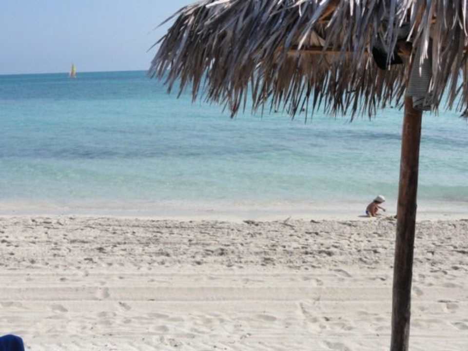 Karibikfeeling Iberostar Origin Playa Alameda