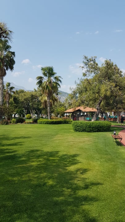 Gartenanlage TUI MAGIC LIFE Beldibi +16