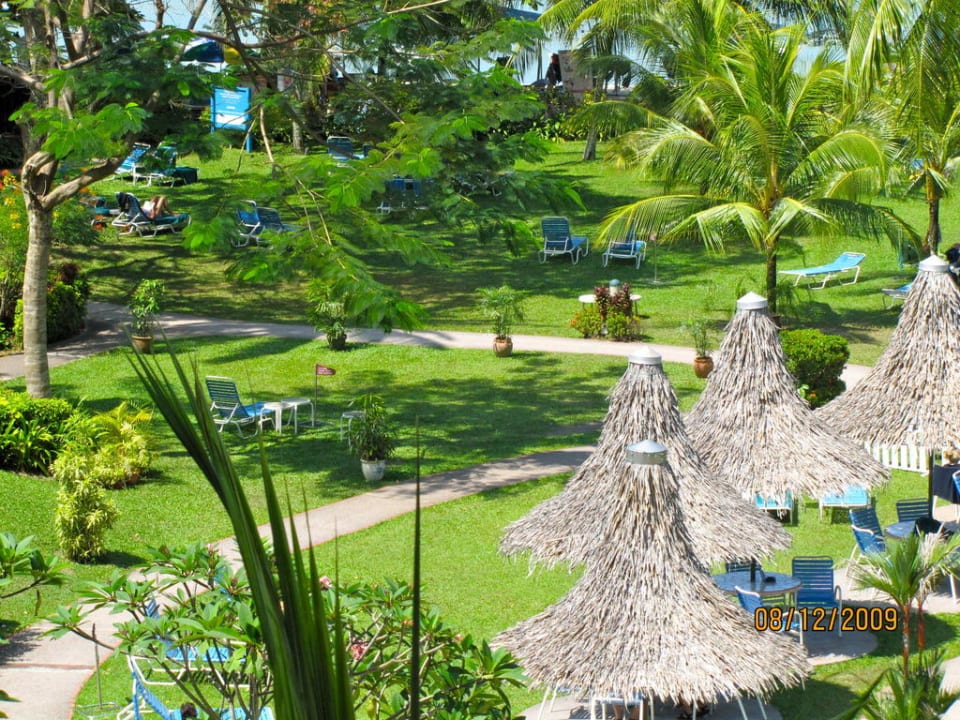 Garden with sunbeds Hotel Shangri-La Golden Sands Resort