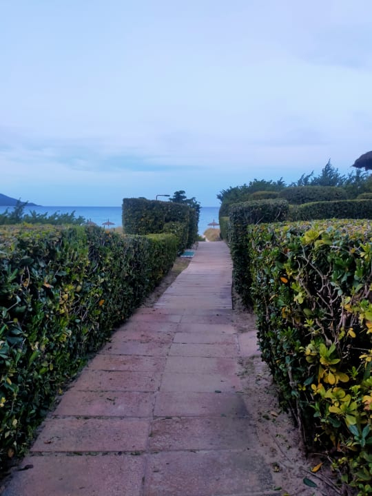 Gartenanlage Grupotel Natura Playa