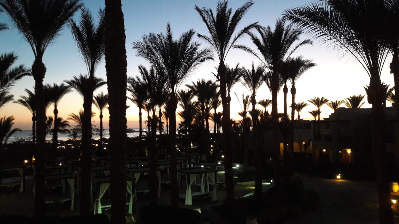Zimmer Iberotel Makadi Beach