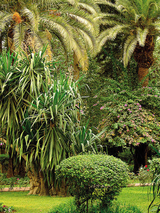 8 acres of garden Es Saadi Gardens & Resort - Palace