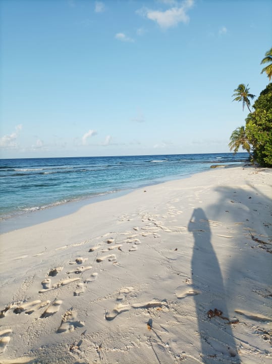 Strand Filitheyo Island Resort
