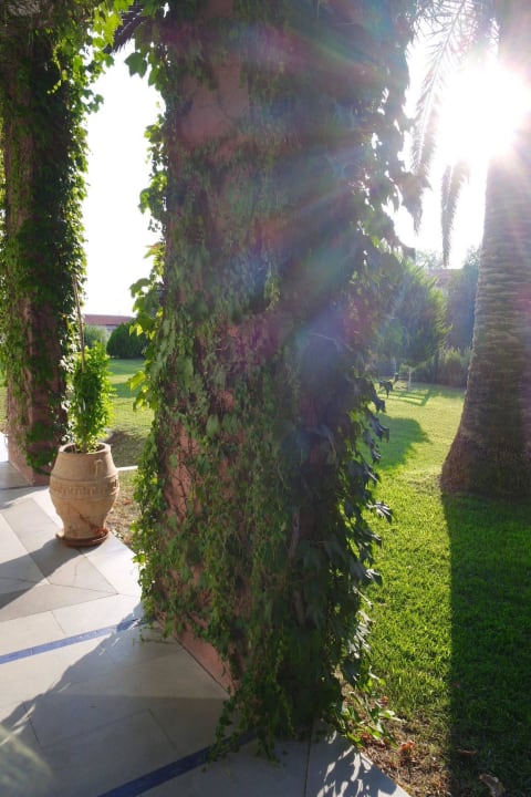 Weg zum Strand/ Garten/ Poolbereich Domes Noruz Kassandra | Adults-Only