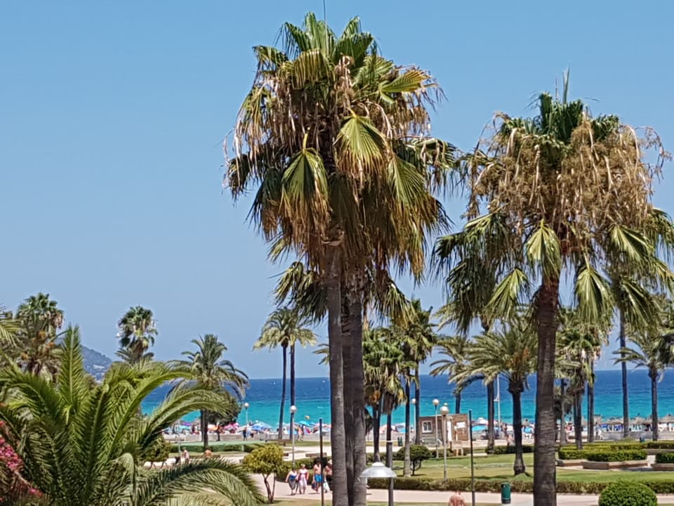 Ausblick Hipotels Cala Millor Park