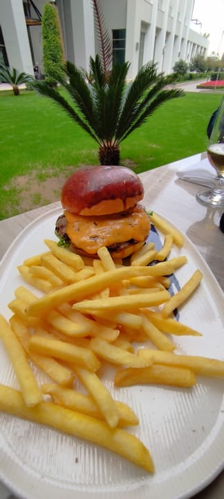 Gastro Acanthus Cennet Barut Collection