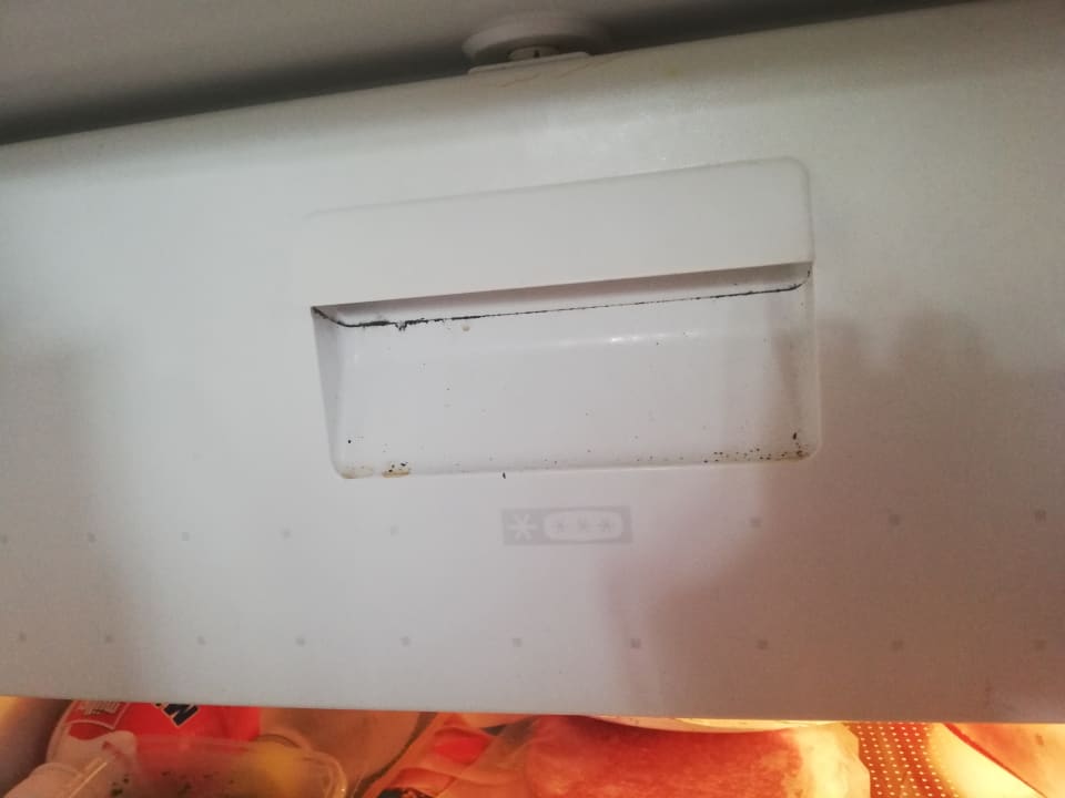 Zimmer Wiesebrock, Anita