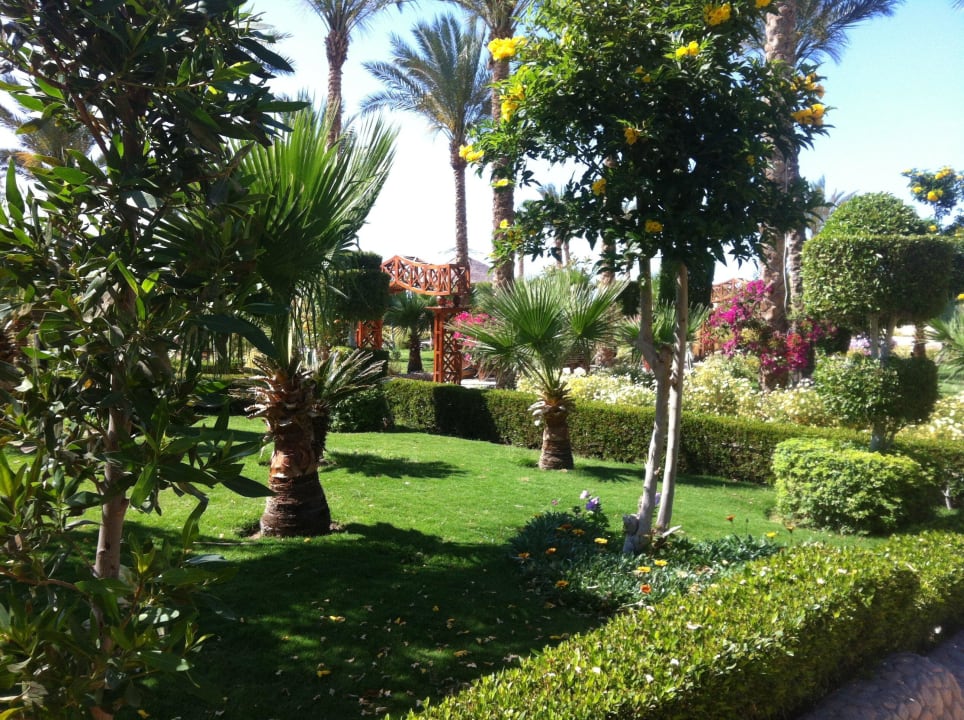 Территория отеля Riviera Aqua Park Resort