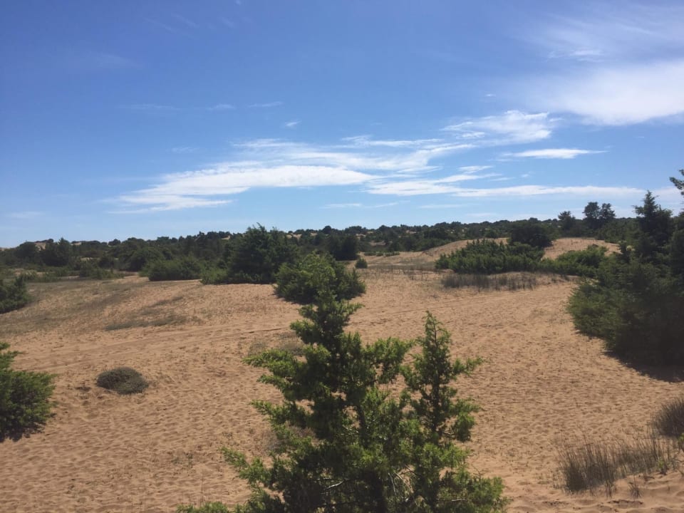 Ausblick Sandy Beach Resort