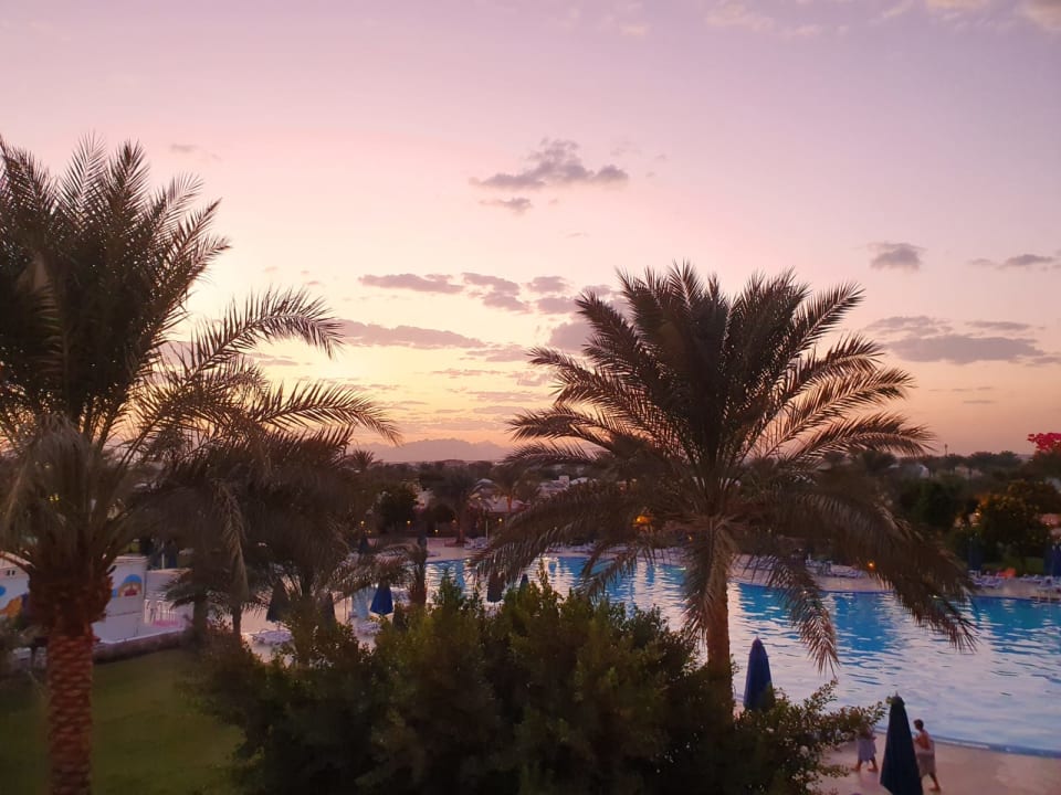 Ausblick Desert Rose