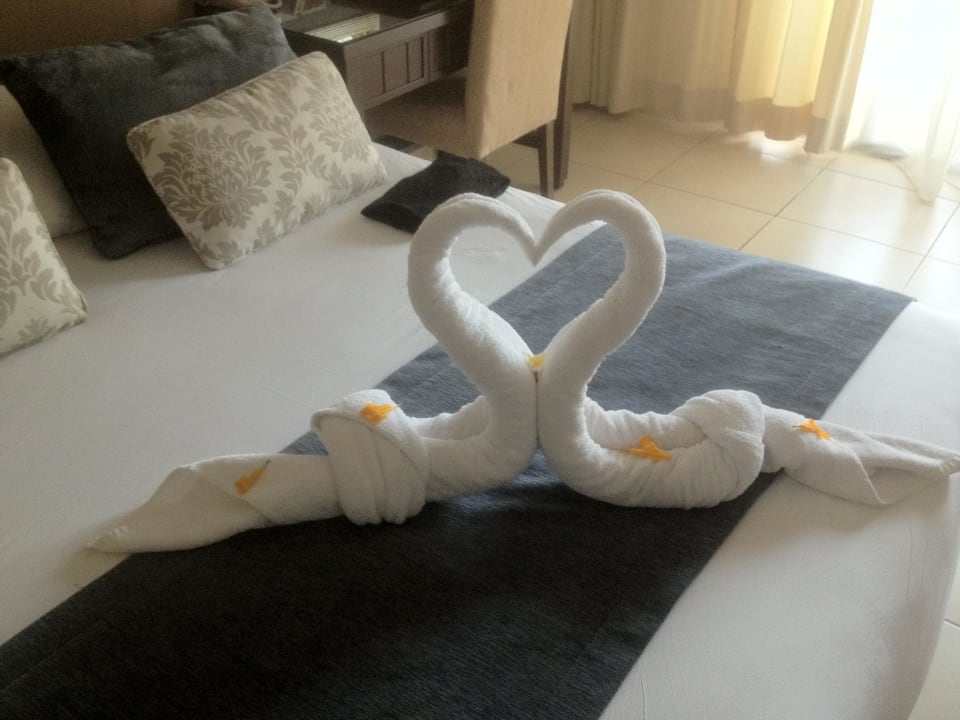 Jeden Tag ein neues Kunstwerk JAZ Aquamarine Resort