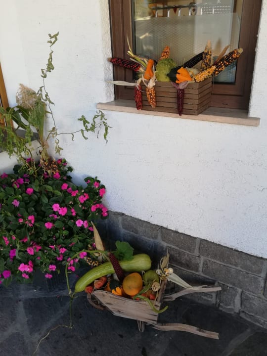 Sonstiges Gasthaus Alpenflora