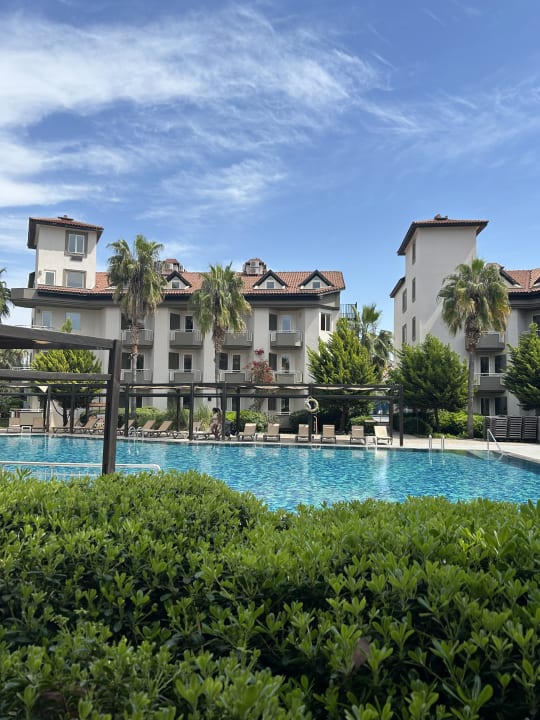 Pool Hotel Orfeus Park