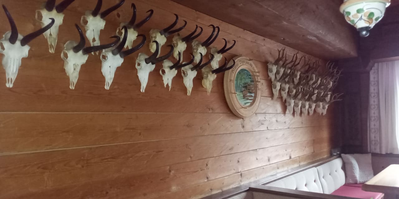 Gastro Landgasthof Ledererwirt