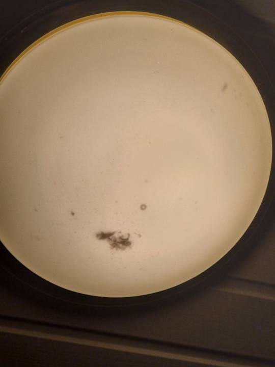 Zimmer Sporthotel Grafenwald