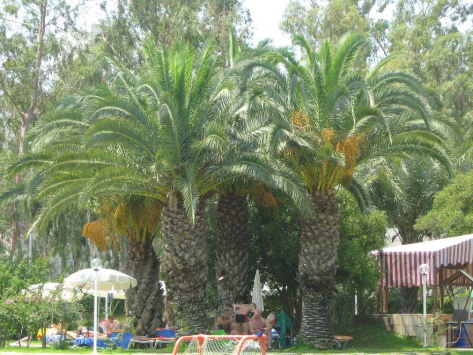 Gartenanlage Asteria Collection Side