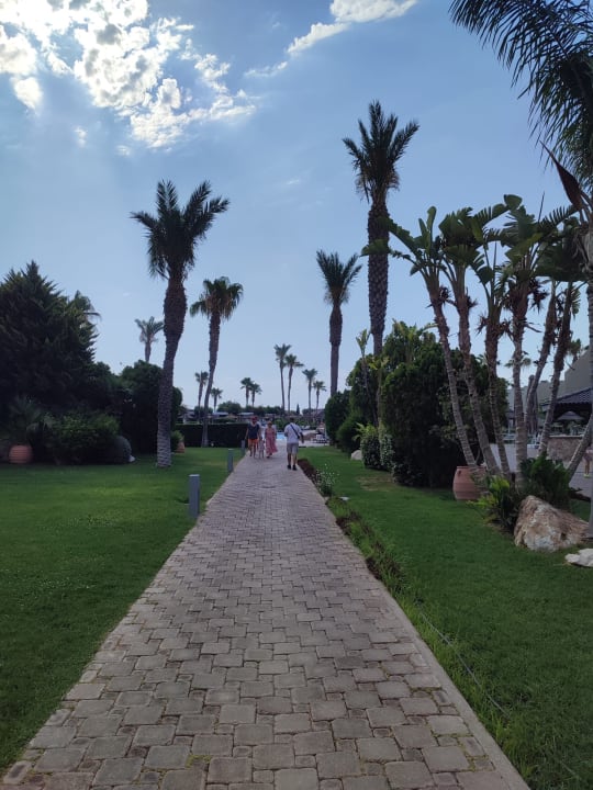 Gartenanlage Atlantica Aegean Blue