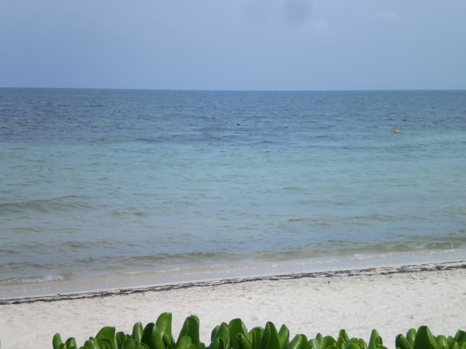 Strand vorm Vip Bereich für jeden zugänglich BlueBay Grand Esmeralda