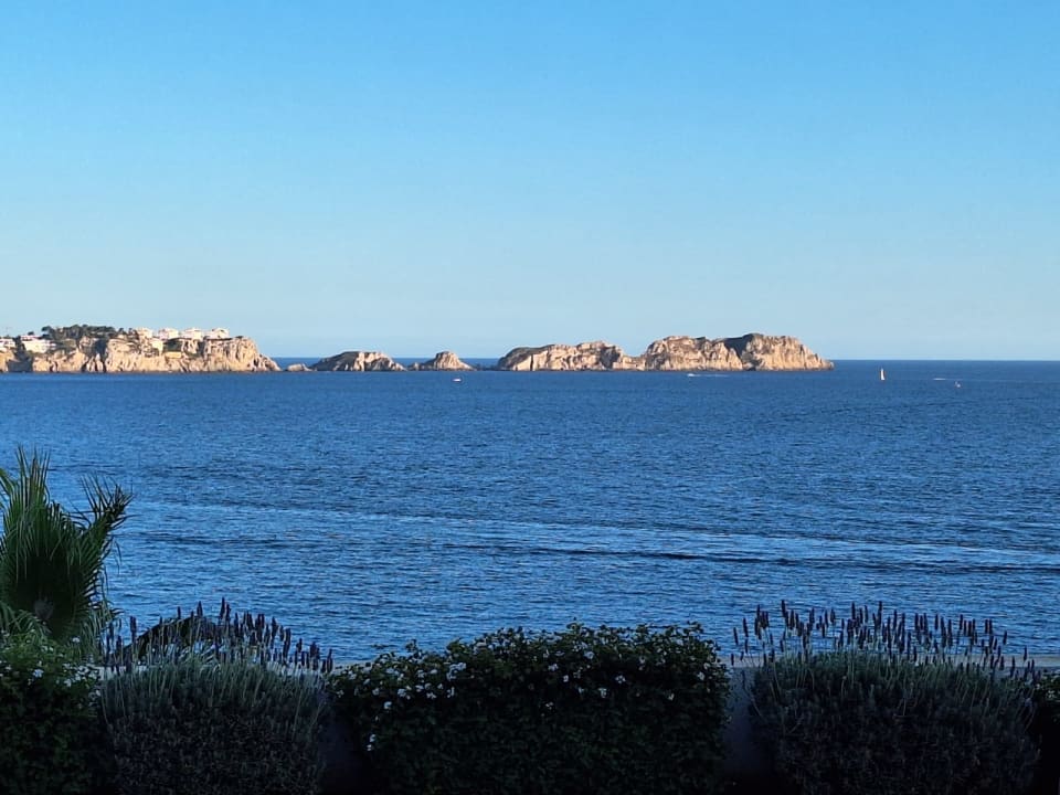 Ausblick Hotel Aparthotel Paguera Beach